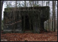 /album/gampelen/dsc-1162-jpg/