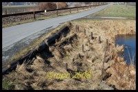 /album/plattis/dsc-2723-jpg/