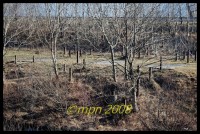 /album/sargans/dsc-2743-jpg/