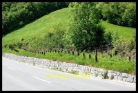 /album/schollberg/dsc-4223-jpg/